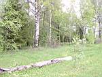 P5250246.JPG http://yarfoto.narod.ru